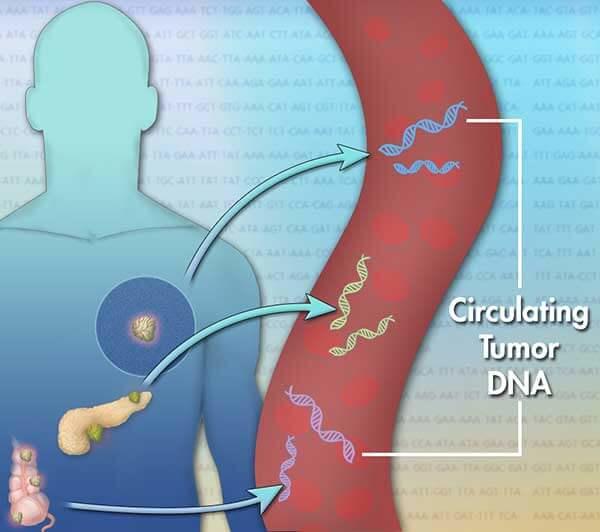 tumors-release-DNA-bloodstream